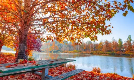 MY TOP 5 THINGS TO DO THIS OCTOBER