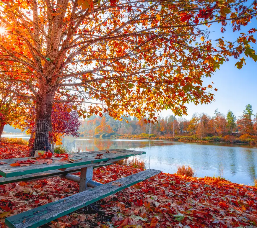 MY TOP 5 THINGS TO DO THIS OCTOBER