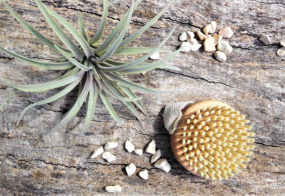 A GUIDE TO DRY BODY BRUSHING FOR GLOWING SKIN AND ITS BENEFITS